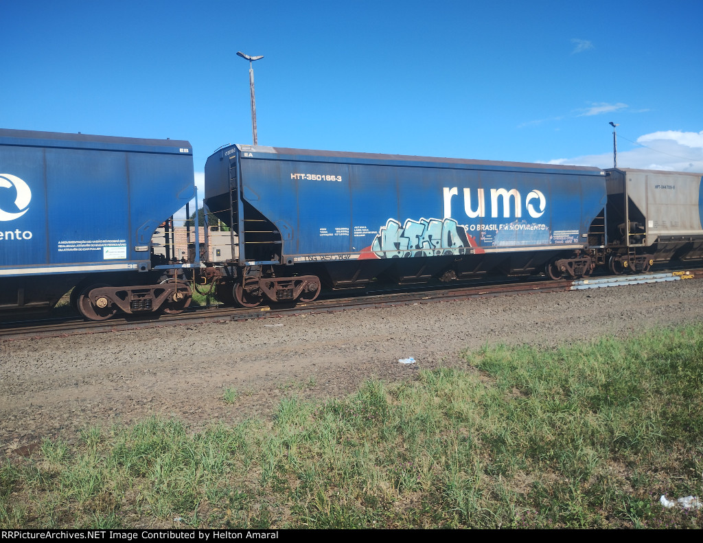 RUMO HTT-350166-3